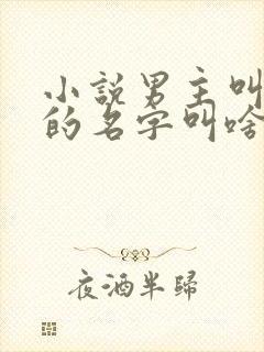 小说男主叫苏明的名字叫啥