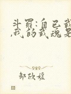 斗罗:自已武魂,我的武魂是魂斗罗