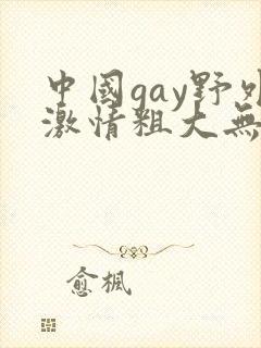 中国gay野外激情粗大无套