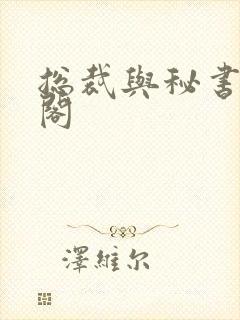 总裁与秘书笔趣阁封面