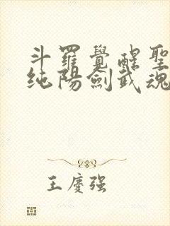 斗罗觉醒圣主和纯阳剑武魂