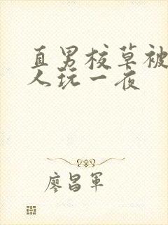 直男校草被两男人玩一夜封面