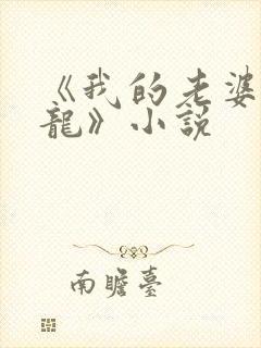 《我的老婆是条龙》小说