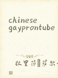 chinesegayprontube