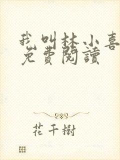 我叫林小喜小说免费阅读