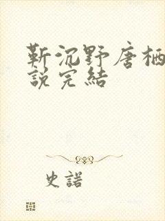 靳沉野唐栖雾小说完结