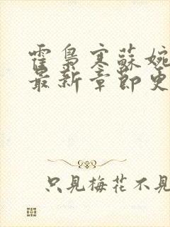 霍枭寒苏婉小说最新章节更新列表