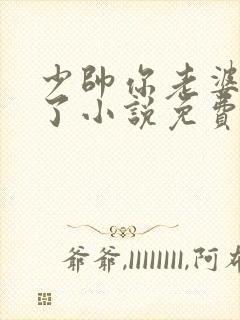 少帅你老婆又跑了小说免费阅读全文