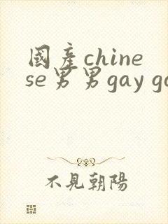 国产chinese男男gay gay 180