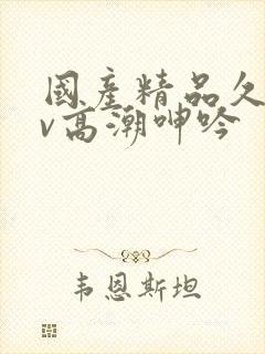 国产精品久久av高潮呻吟