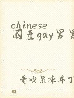 chinese国产gay男男网站封面
