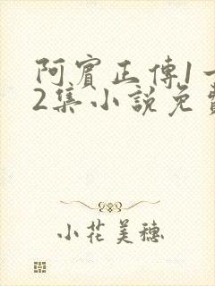 阿宾正传1一72集小说免费阅读