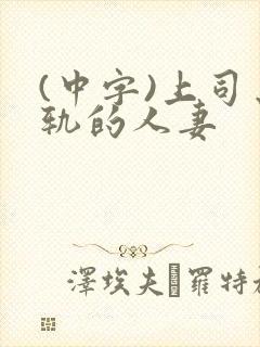 (中字)上司出轨的人妻