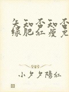 矢知否知否应是绿肥红瘦免费观看全集