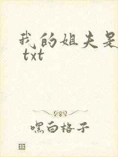我的姐夫是太子 txt