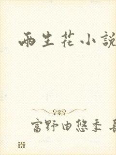 两生花小说封面