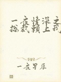 一夜情深之高冷总裁赖上我