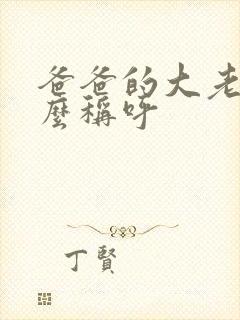 爸爸的大老婆怎么称呼