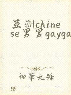 亚洲chinese男男gaygay网站