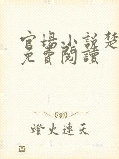 官场小说楚东恒免费阅读