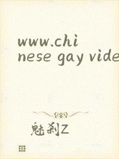 www.chinese gay videos.com