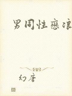 男同性恋浪小辉