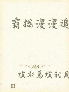 霸总漫漫追妻路