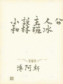 小说主人公秦浩和林碗冰