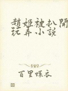 赵姬被扒开双腿玩弄小说