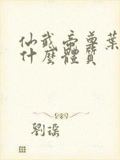 仙武帝尊叶辰是什么体质封面