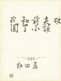 我和前夫破镜重圆了小说