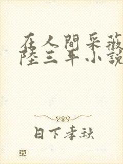 在人间采薇阿铭陆三平小说免费阅读