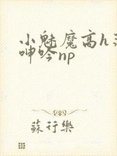 小魅魔高h荡肉呻吟np