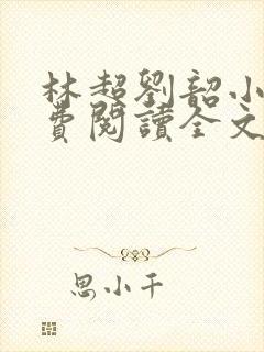 林超刘韶小说免费阅读全文最新章节