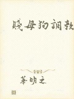 贱母狗调教文