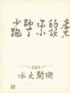 少帅你的老婆又跑了小说免费阅读第1288集