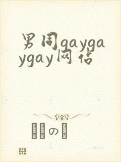 男同gaygaygay网站封面