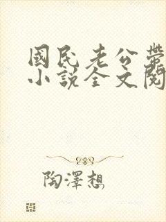 国民老公带回家小说全文阅读