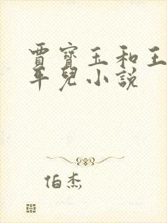 贾宝玉和王熙凤平儿小说