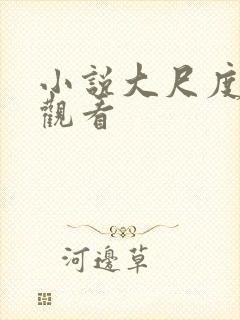 小说大尺度在线观看封面