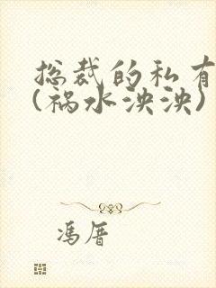 总裁的私有宝贝(祸水泱泱)