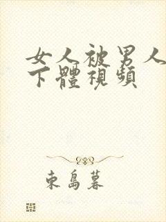 女人被男人插入下体视频