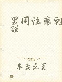 男同性恋刺激小说