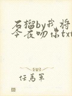 石榴by我将在今夜吻你txt