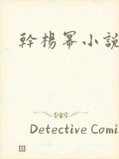 干杨幂小说封面