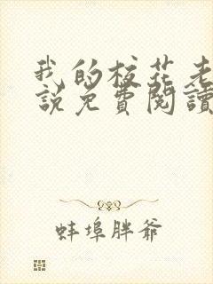 我的校花老婆小说免费阅读全文