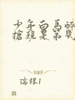 少年白马醉春风抢亲是第几集