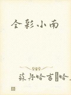 全彩小南封面