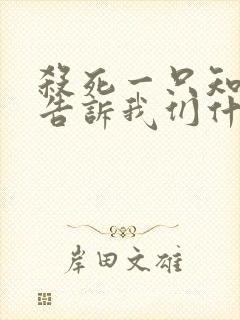 杀死一只知更鸟告诉我们什么封面