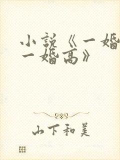 小说《一婚还比一婚高》封面